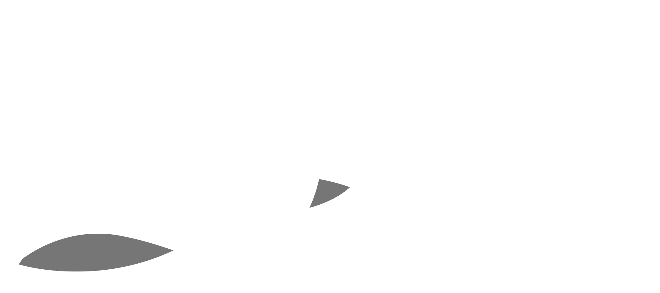 AIYFF Logo