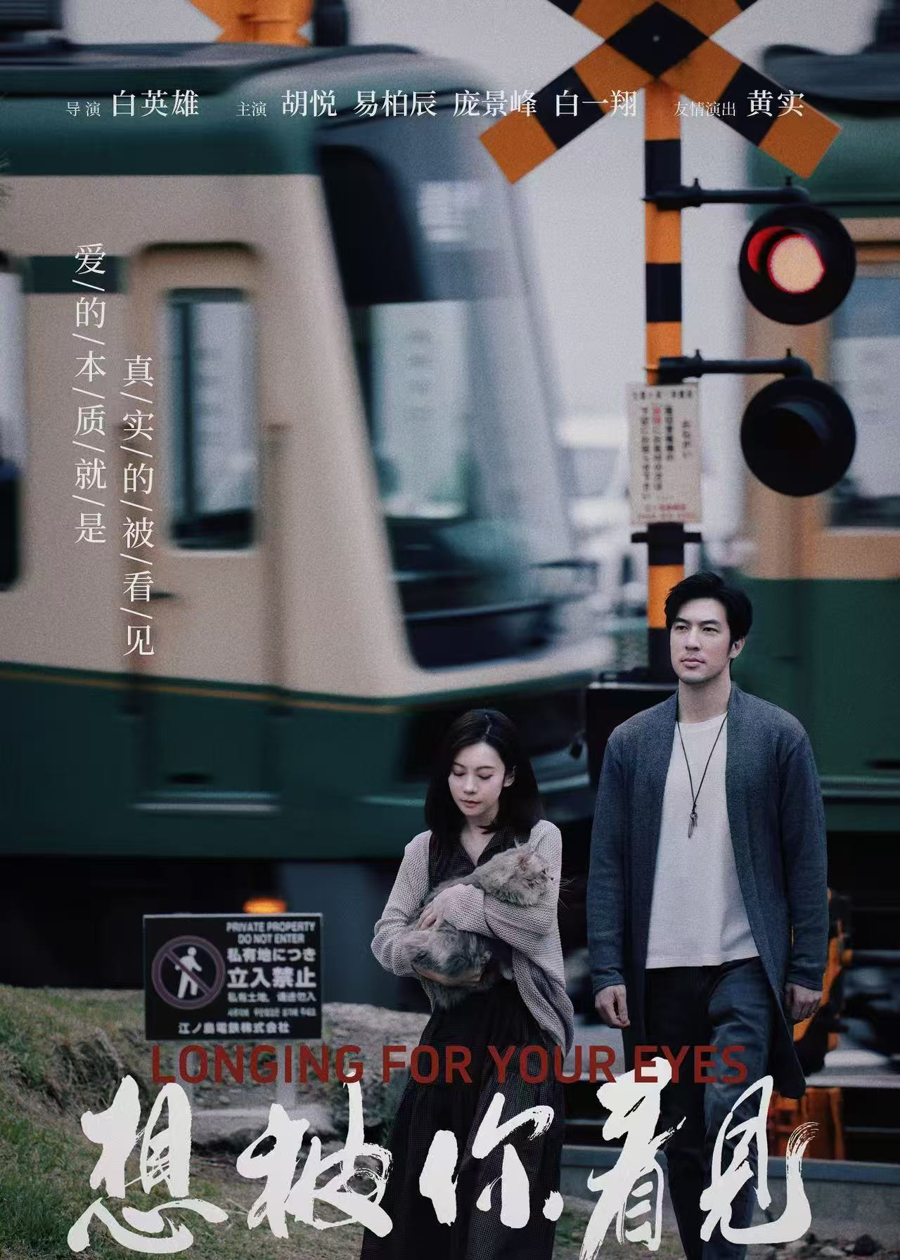 《想被你看见》